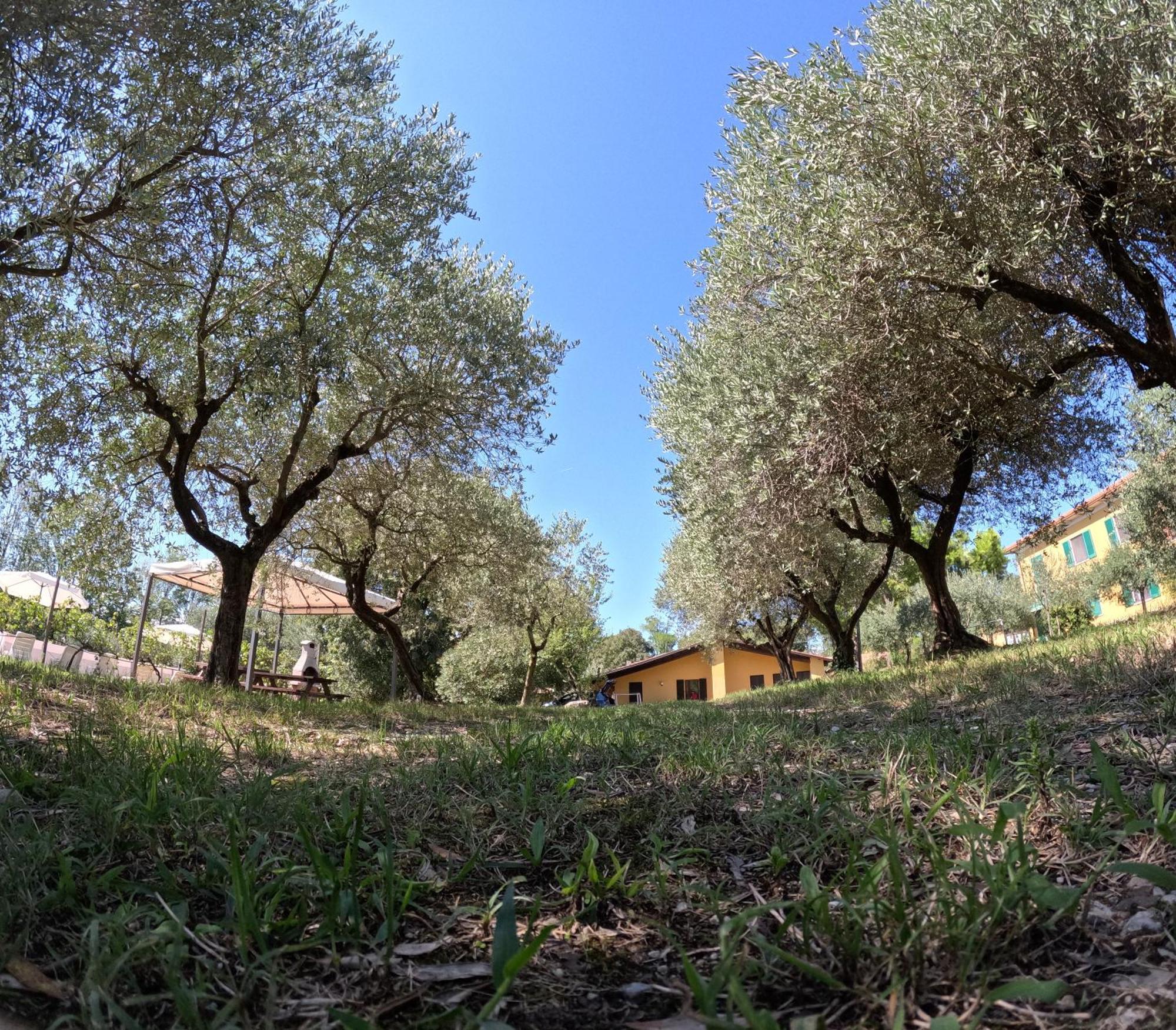 Agriturismo Gardenali Volta Mantovana Zimmer foto