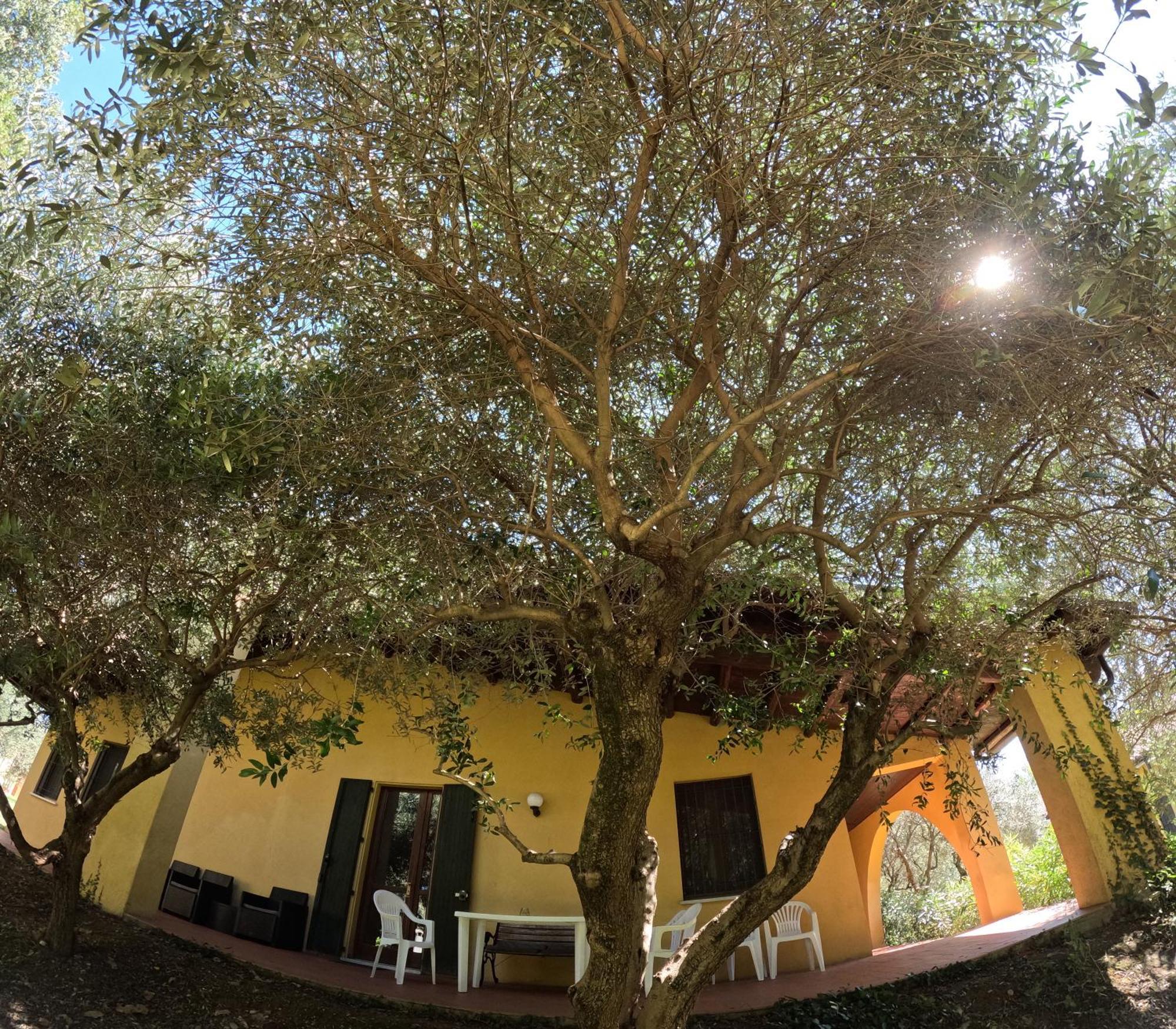 Agriturismo Gardenali Volta Mantovana Zimmer foto